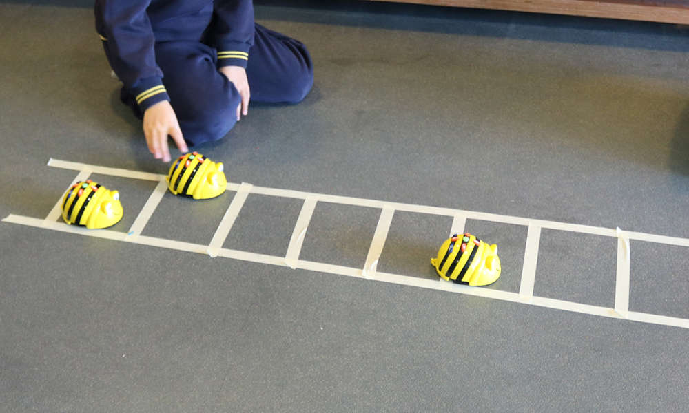Beebot maths ladder activity on floor with student
