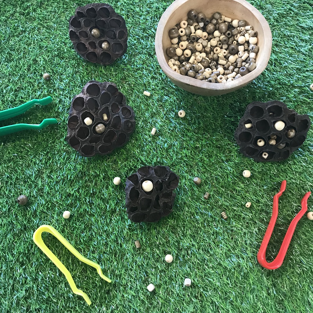 Tweezers on grass next to beads and lotus pods