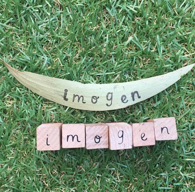 Nems written on wooden blocks and a leaf on a grass background