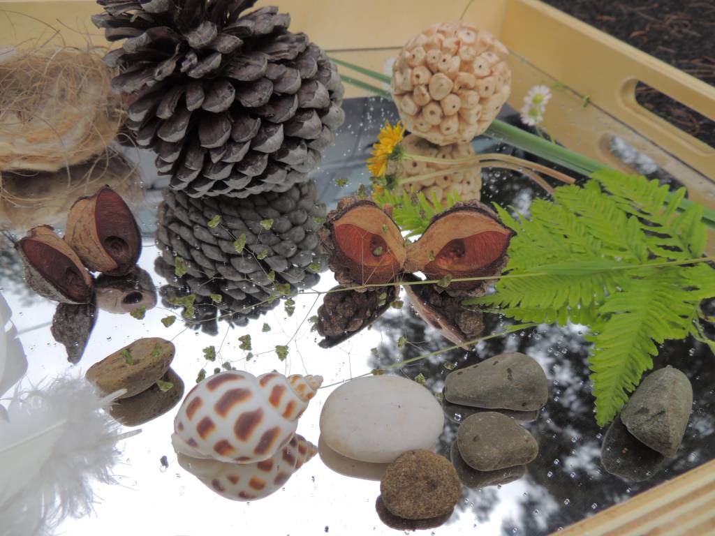 Mirrors and Reflections, natural loose parts in mirrored tray