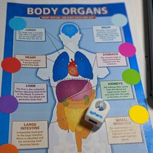 Sphero interactive body organs poster