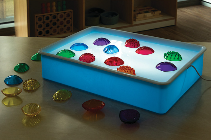 Light box with colourful seashells