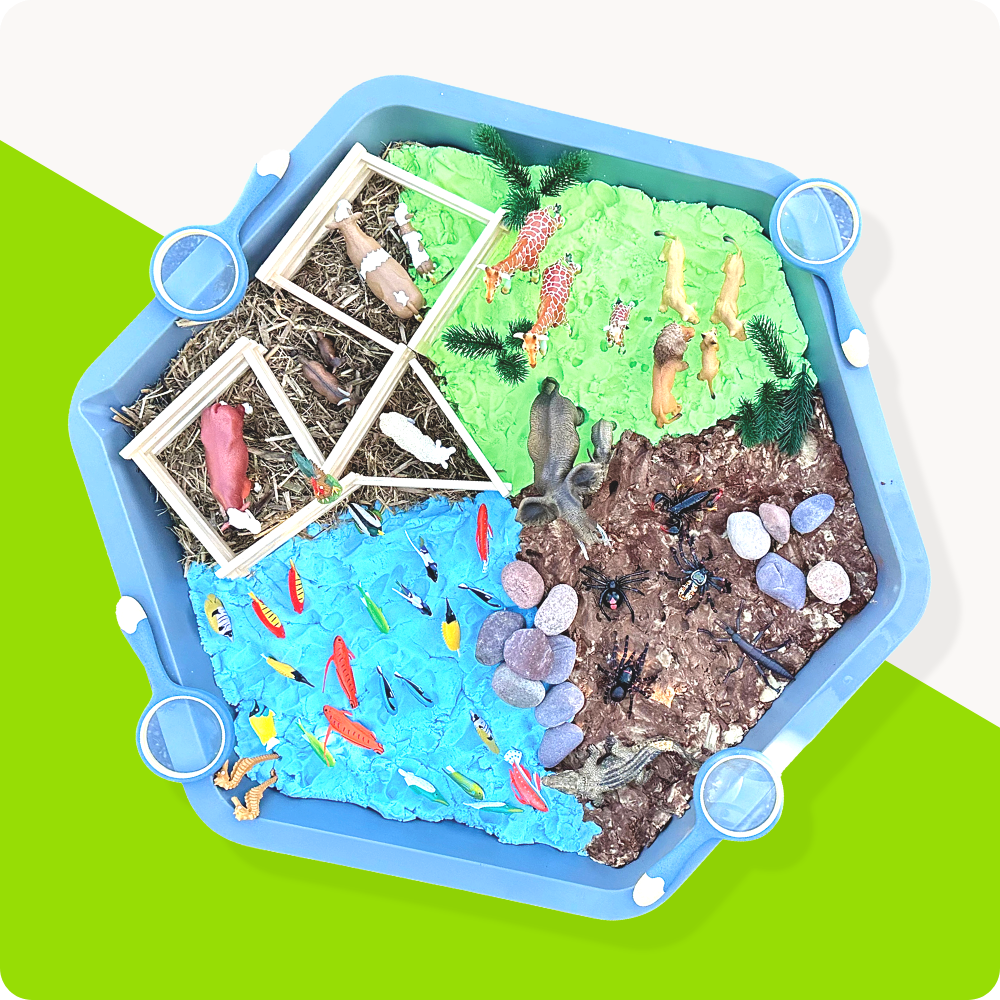 World Environment day Hex tray