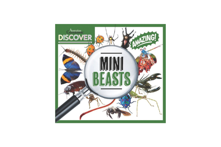 Mini beast book